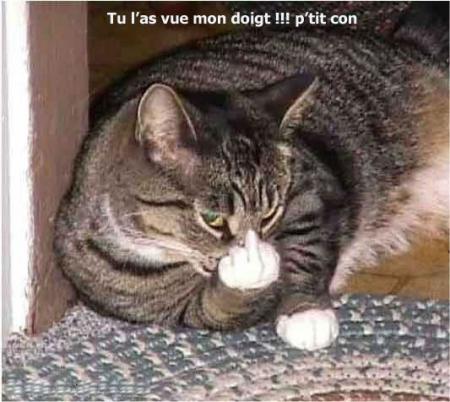 Pas tres poli !